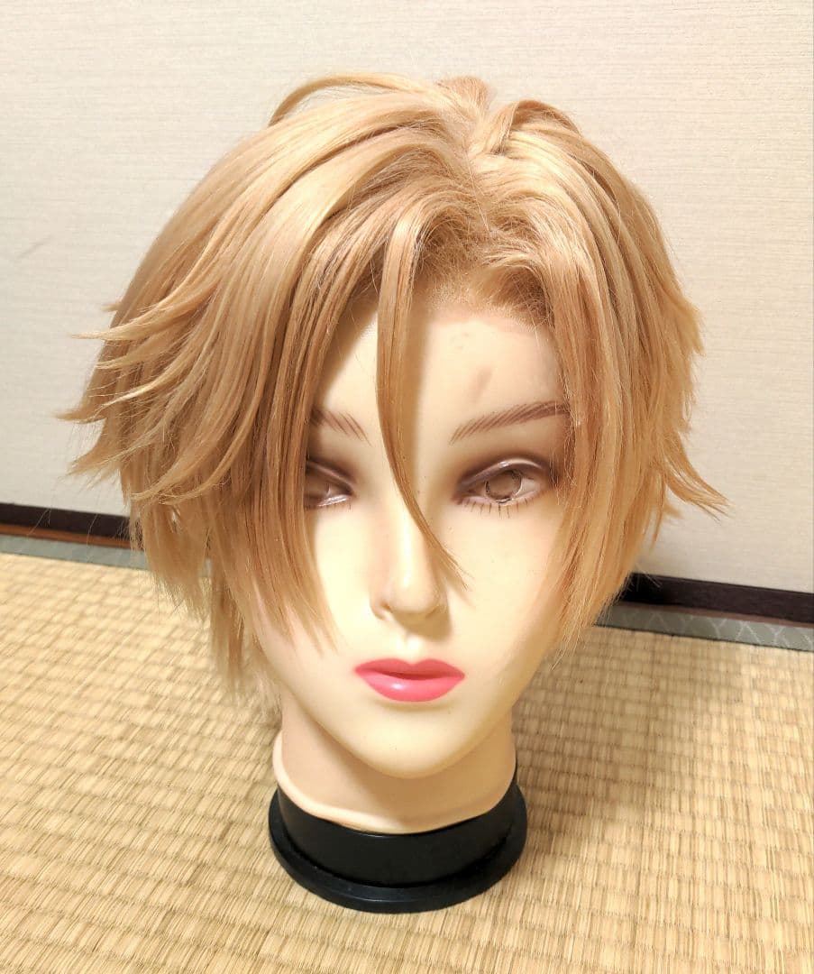 Fate/Grand Order FGO デイビット コスプレ ウィッグ