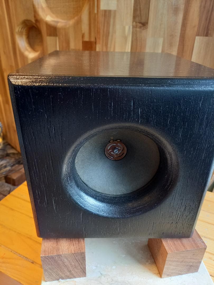 た*ん様 ザクセンベルク　SACHSENWERK フルレンジ　13cmスピーカー