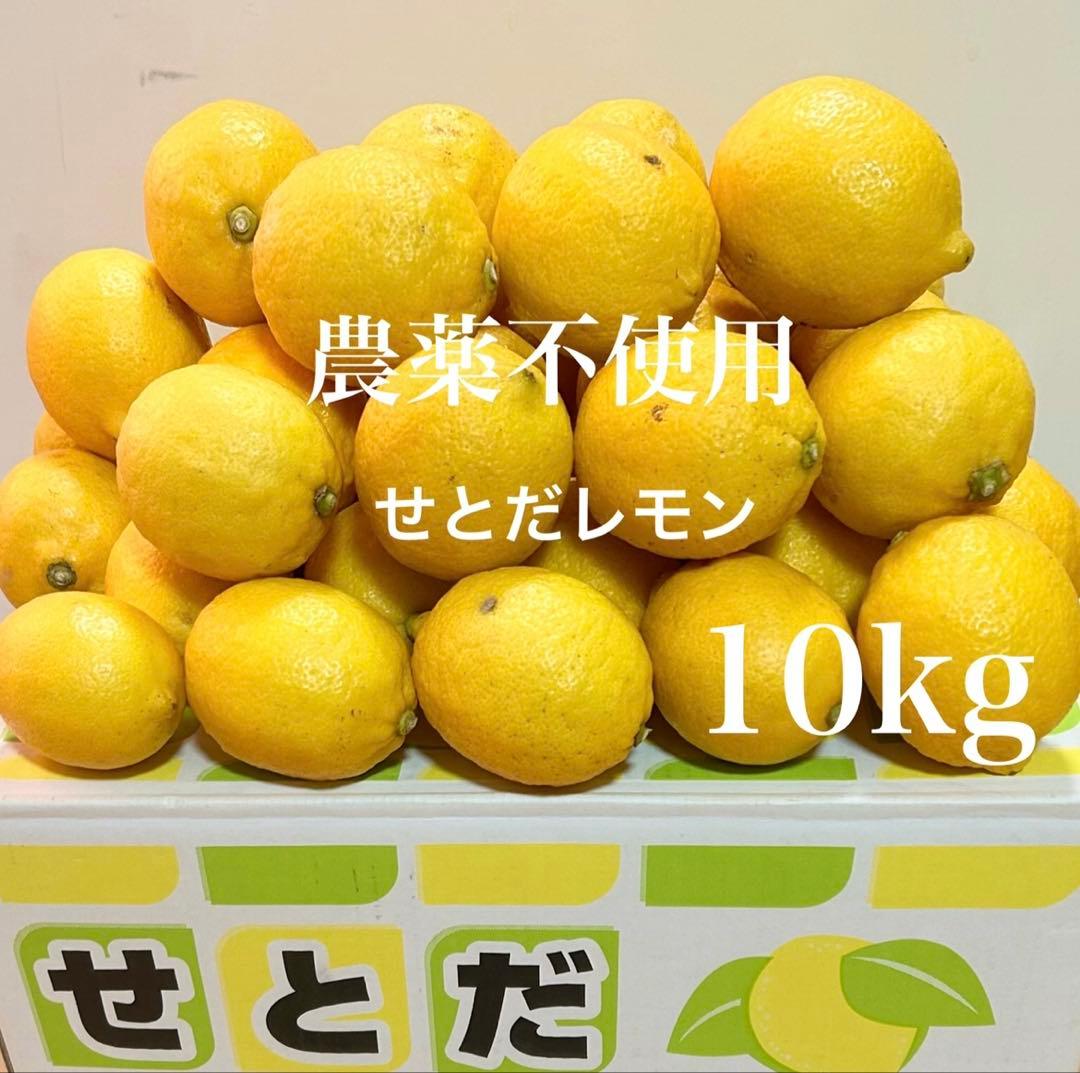 13国産瀬戸田レモン10kg前後