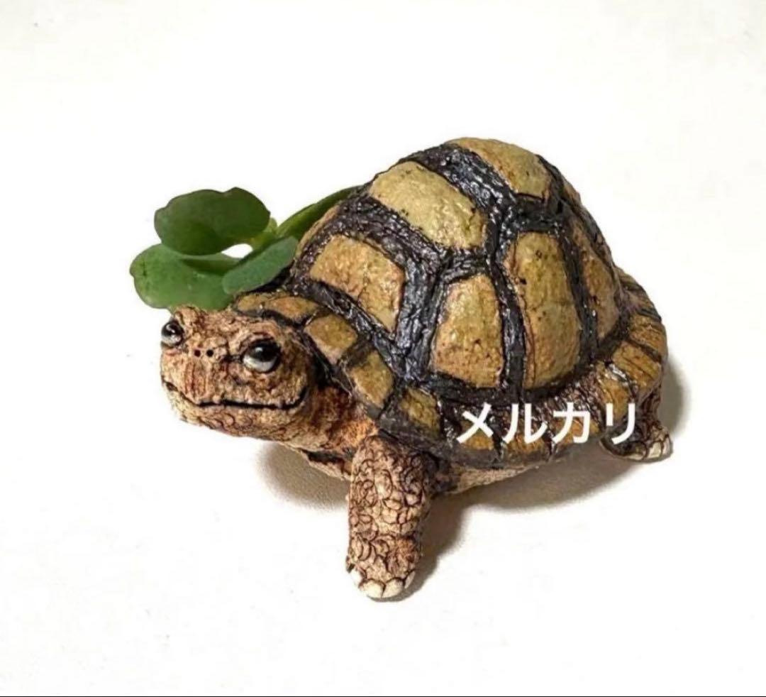 縁起物❣️可愛い亀の亀吉くん❤️陶器人形、置物、亀置物