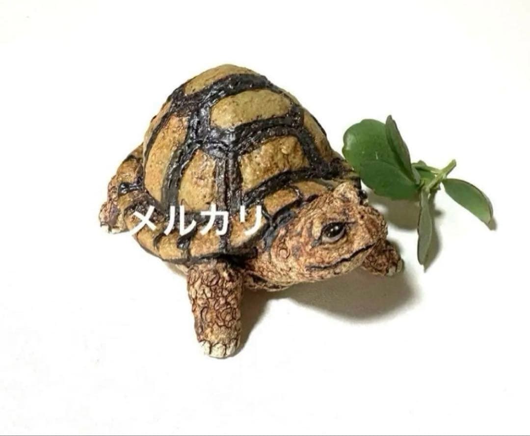 縁起物❣️可愛い亀の亀吉くん❤️陶器人形、置物、亀置物