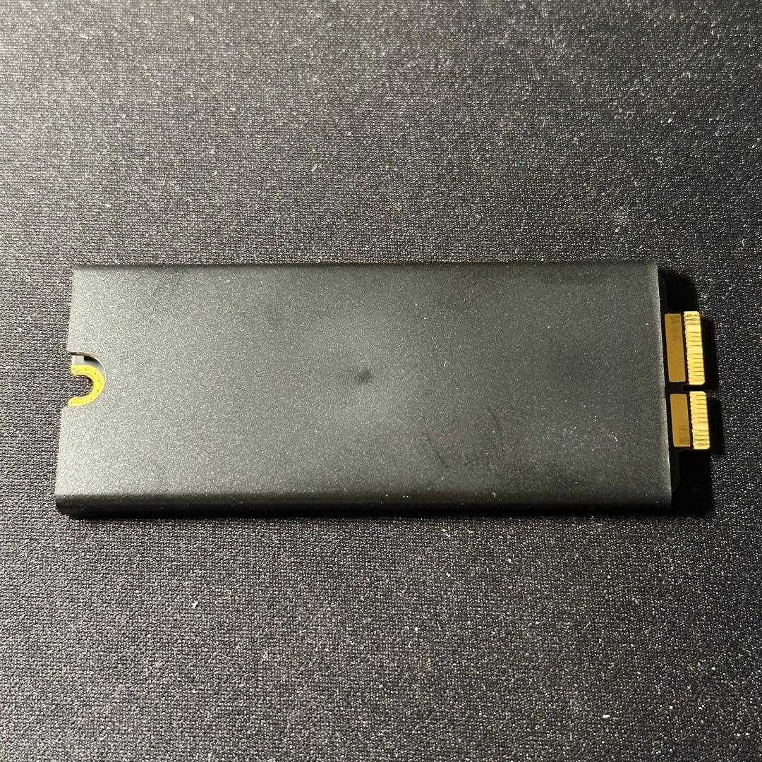 Apple Mac Pro 純正SSD MZ-KPV1T0S/0A4 1TB