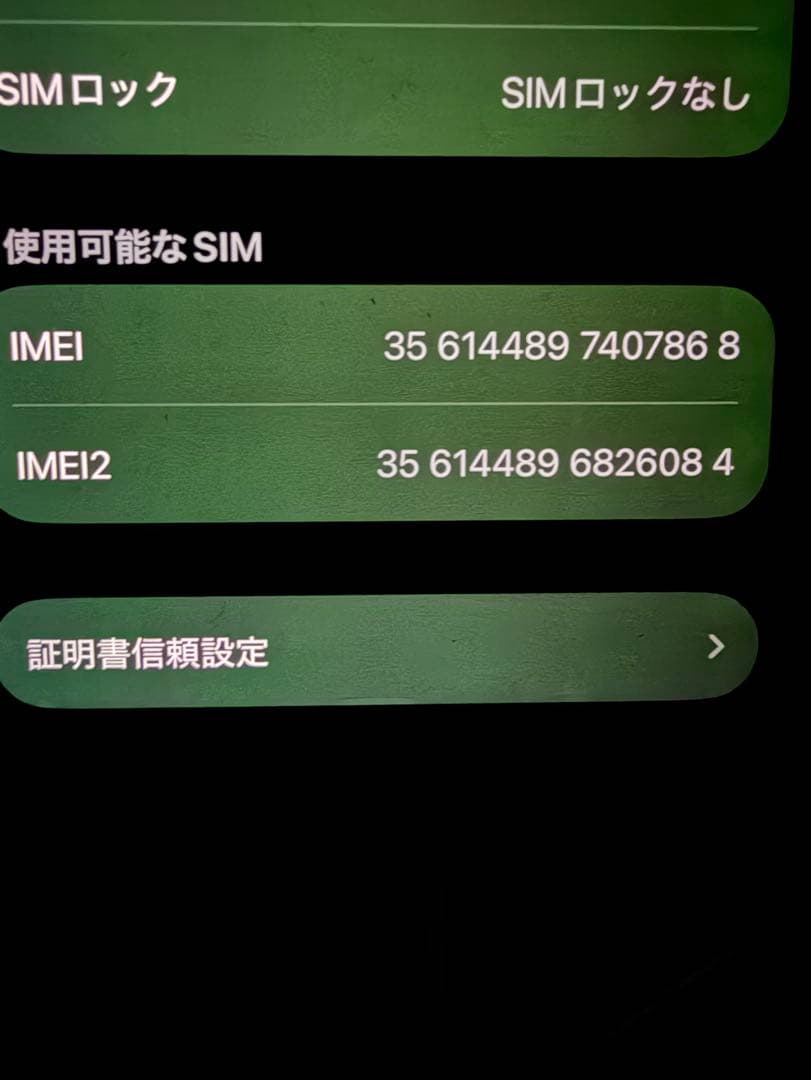 iPhone 13pro 256GB シエラブルー