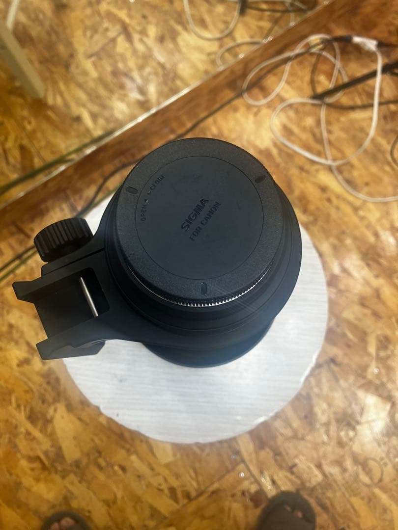 シグマ APO 120-300mm F2.8 EX DG OS HSM EF
