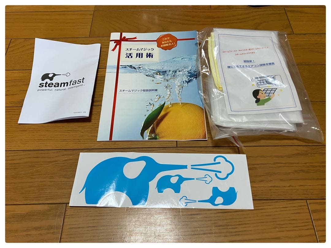 未使用品 steamfast スチームクリーナー