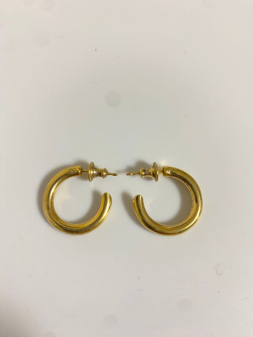 アクセサリー PLACEBO CAREERING 501