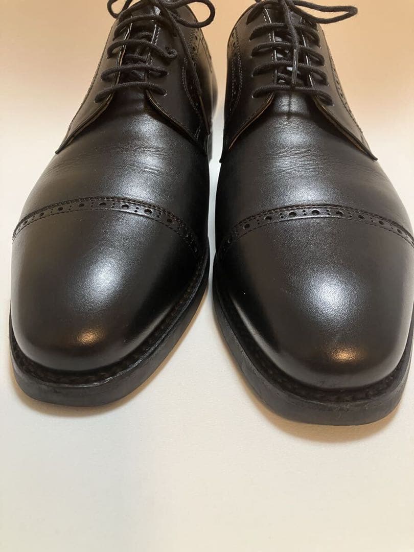 【美品】スコッチグレイン SCOTCH GRAIN シャインオアレインIV