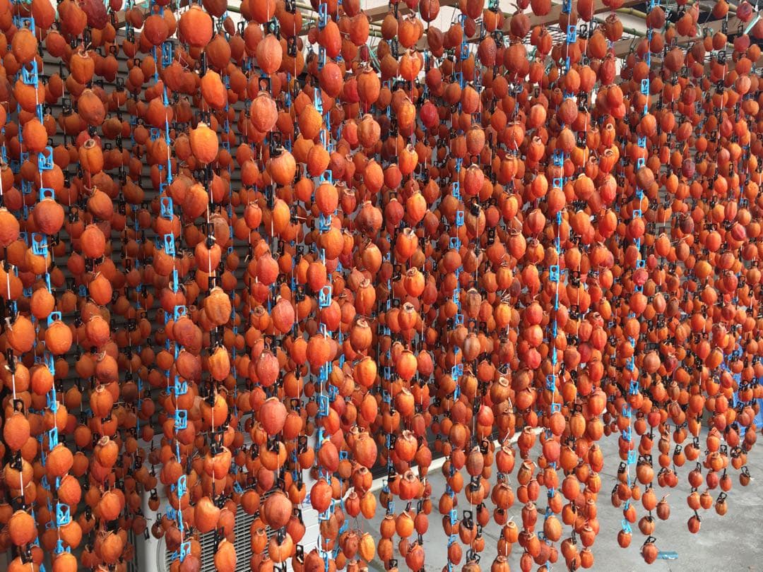 干し柿　市田柿　12バック　3kg