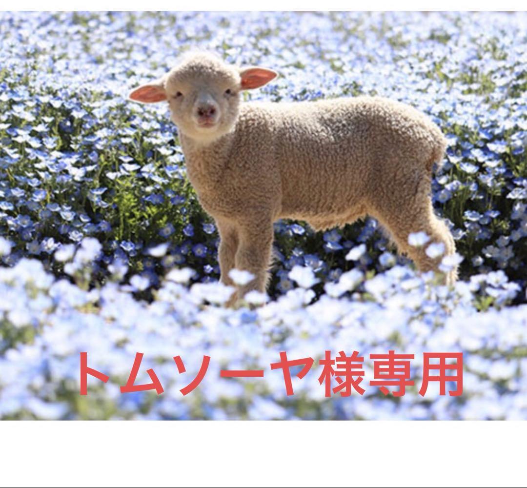 SONY MDウォークマン(ポータブルミニディスクプレーヤー)