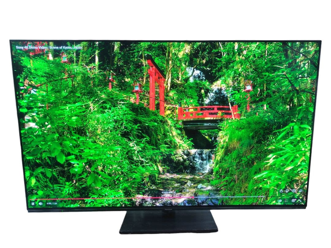 □パナソニック 有機ELテレビ 55型 TH-55LZ1800 2023年