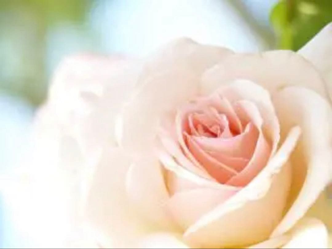 りあちゃん【岩塚製菓】おまとめページ