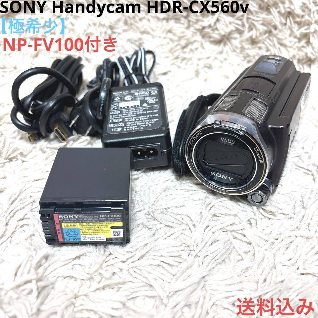 【極希少】SONY Handycam HDR-CX560v NP-FV100付き