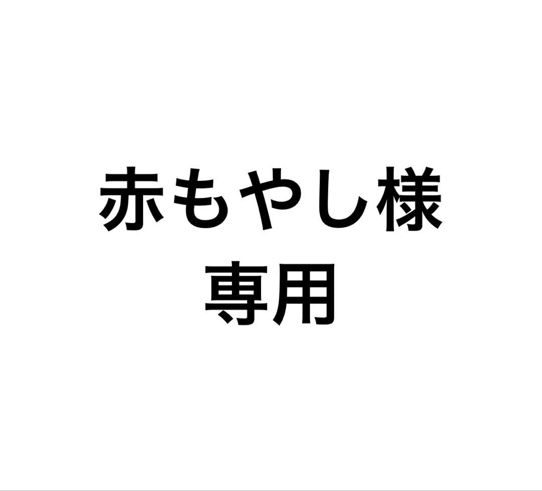 赤もやし　21