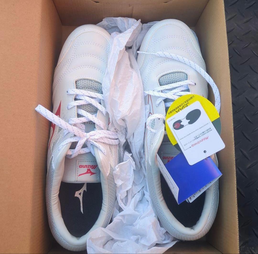 Mizuno 安全靴 F1GA230001 27.0cm EEE