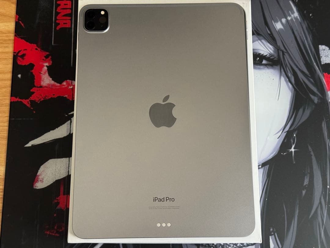iPad Pro 11インチ 第4世代 256GB MNXF3J/A