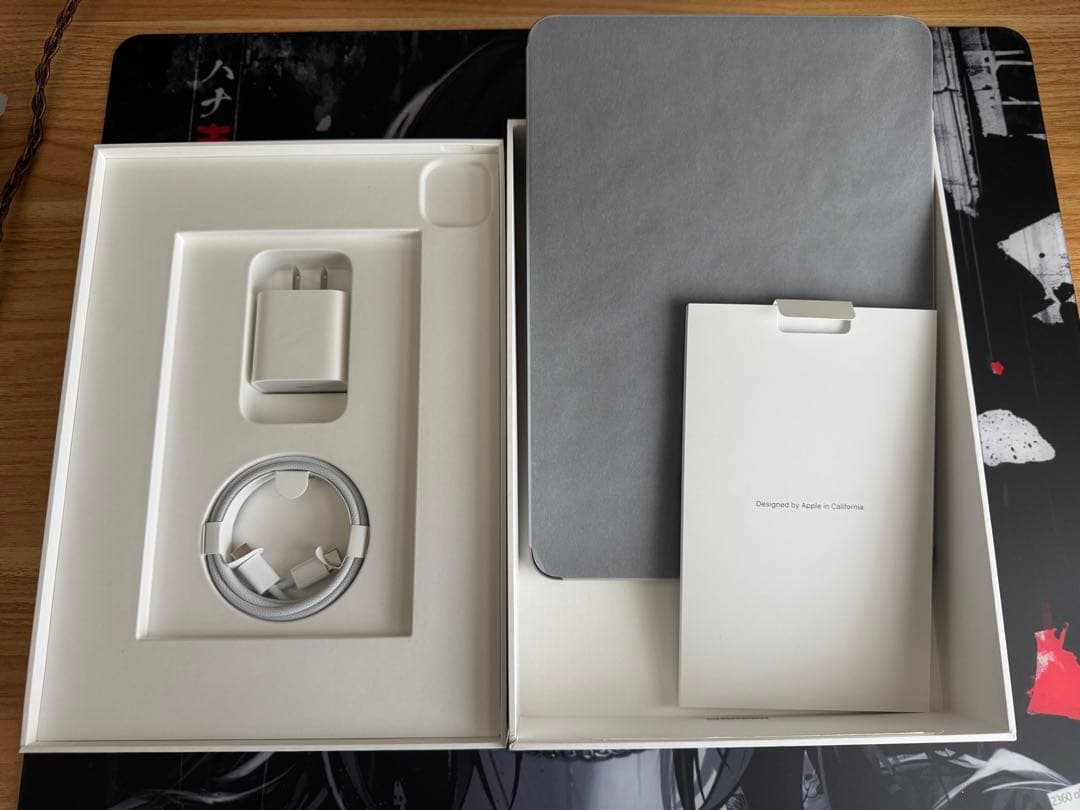 iPad Pro 11インチ 第4世代 256GB MNXF3J/A