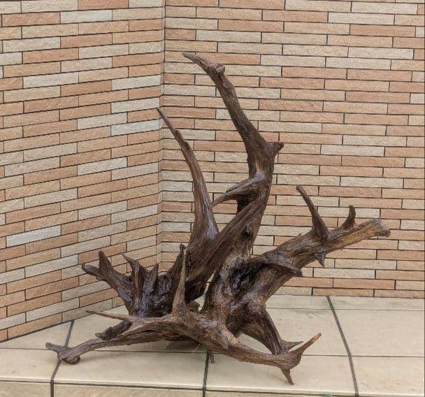 流木(630)　大型流木2点セット　アクアリウム　テラリウム