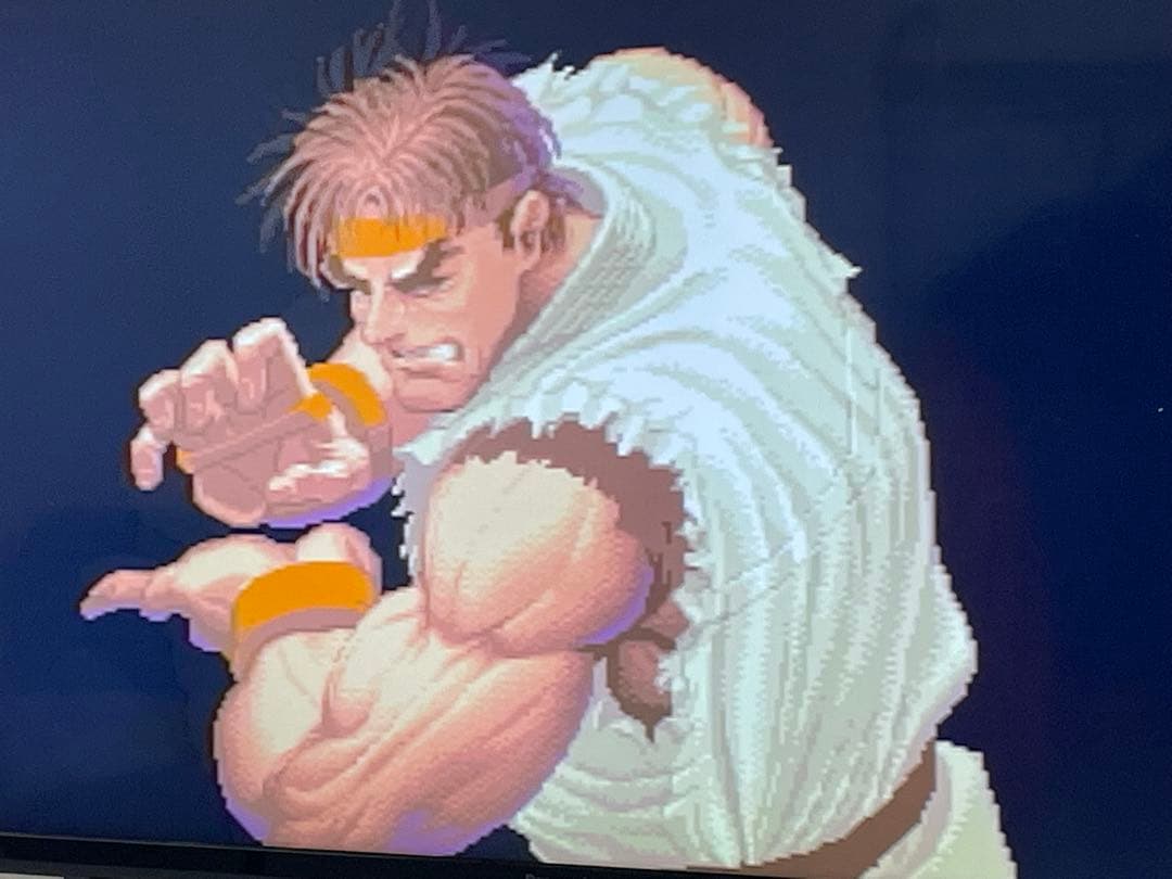 【中古 動作確認済】2025/12/31まで3DO FZ-1