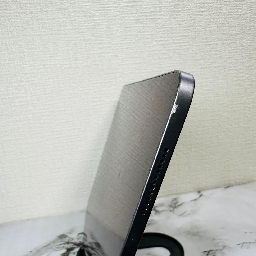 iPad Pro 11 第1世代 256GB WiFi