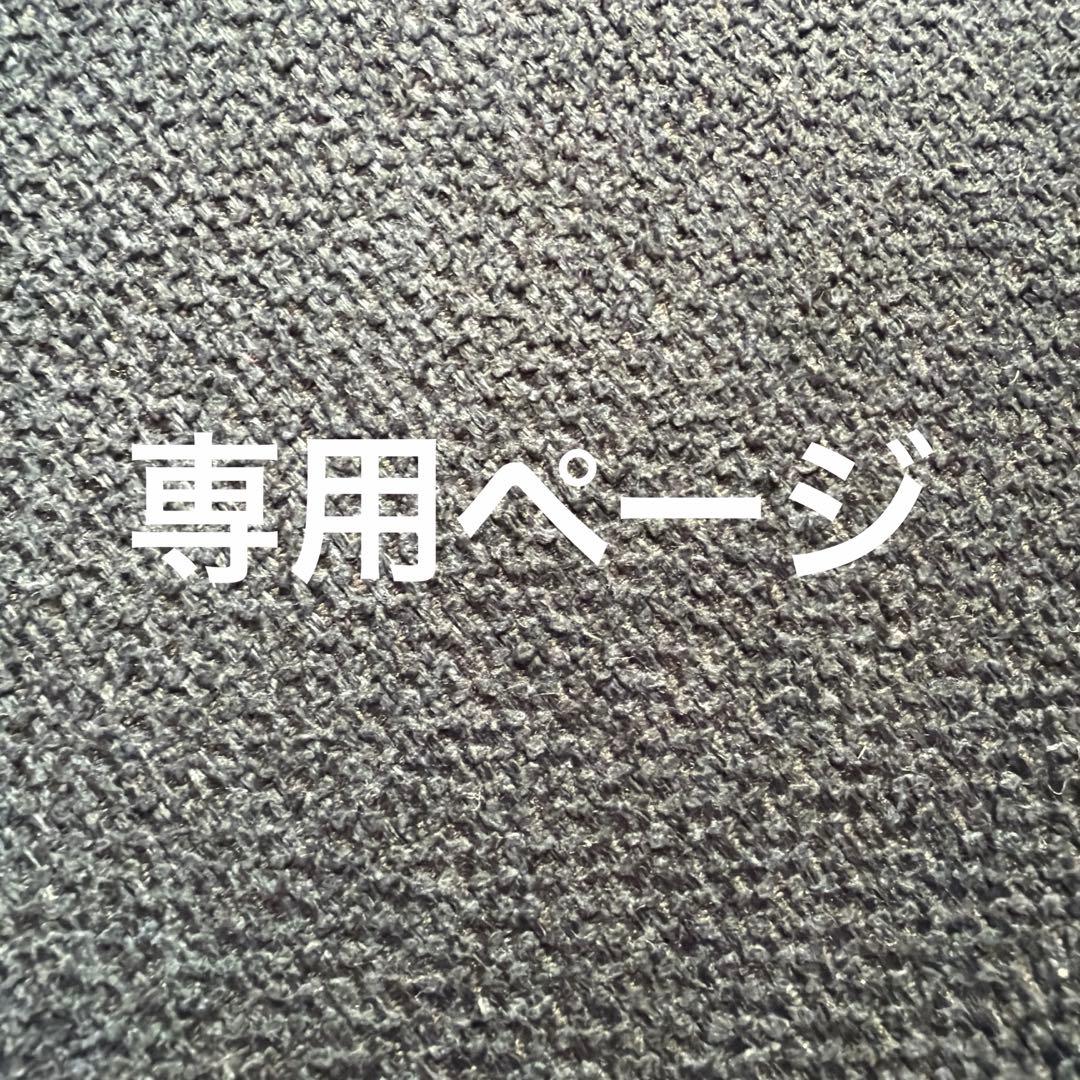 ミッキーマウス。ページ
