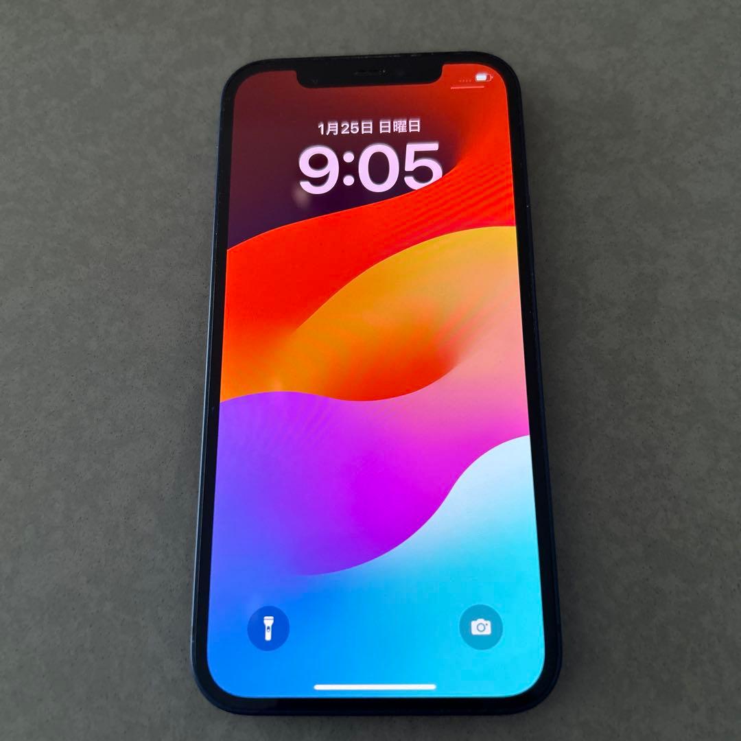 【海外版】 値下げiPhone 12 128GB ブルー本体 中古 SIMフリー