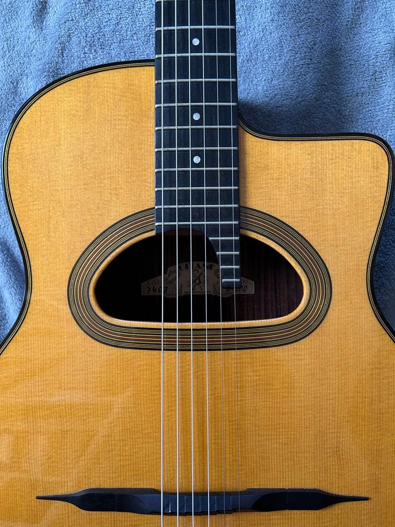 ギター GITANE D-500