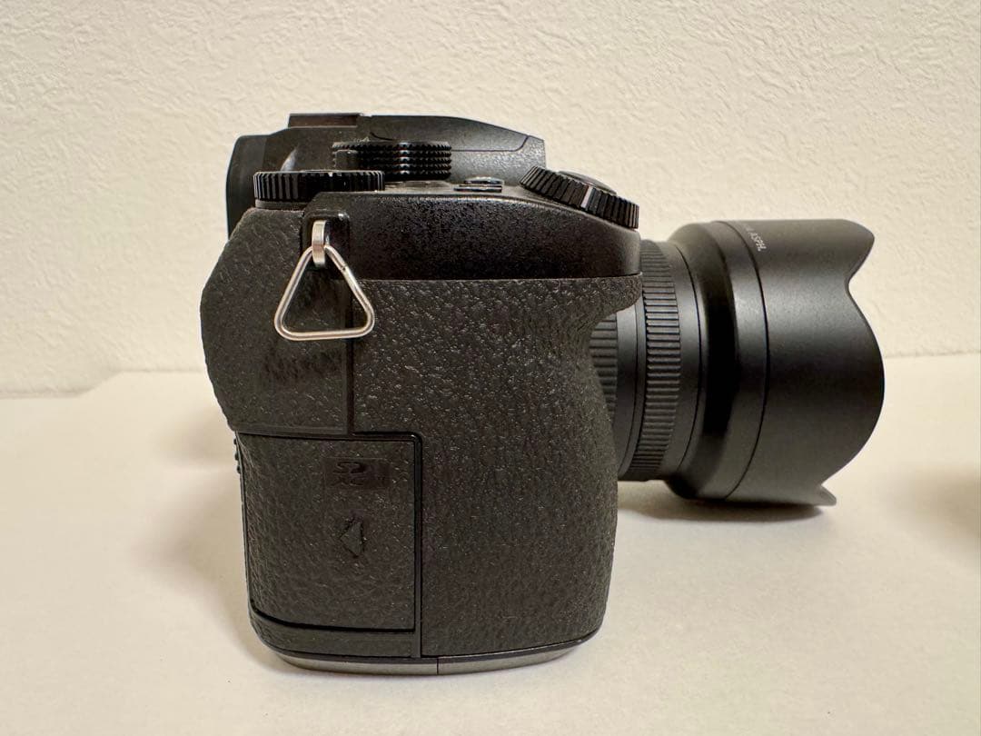 LUMIX Gシリーズ（DC-G99） デジタルカメラ、レンズ2個付