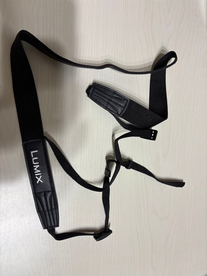 LUMIX S9 ミラーレスカメラ 本体