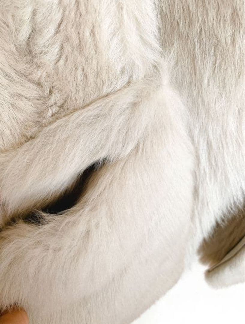 【ドゥロワーDRAWER】リアルファー　ムートンベスト/ムートンジレ