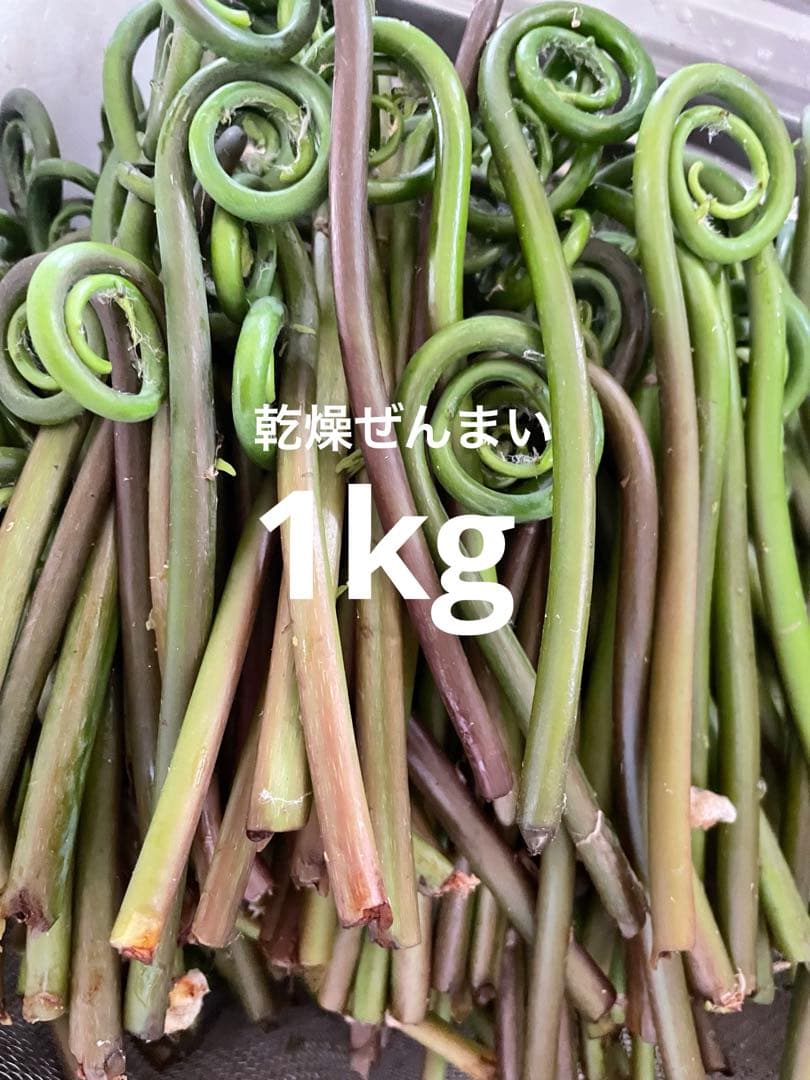 十日町産乾燥ぜんまい1kg