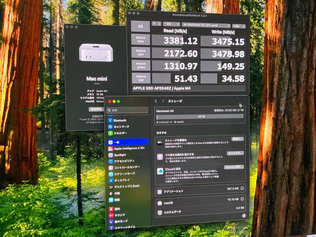 Apple Mac mini M4 2TB SSD 16GBメモリ