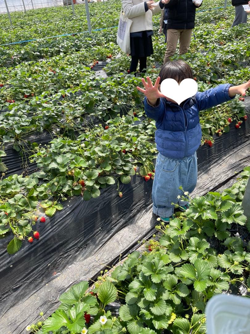 ※本日限りziggyzaza suki denim jean 5-7y 着画あり