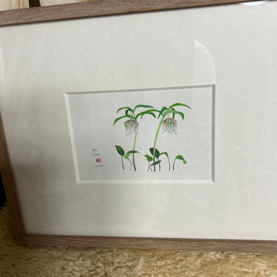 値下げ　　水彩画 木製フレーム付き　 外山康雄　原画　越の小貝母 名刺