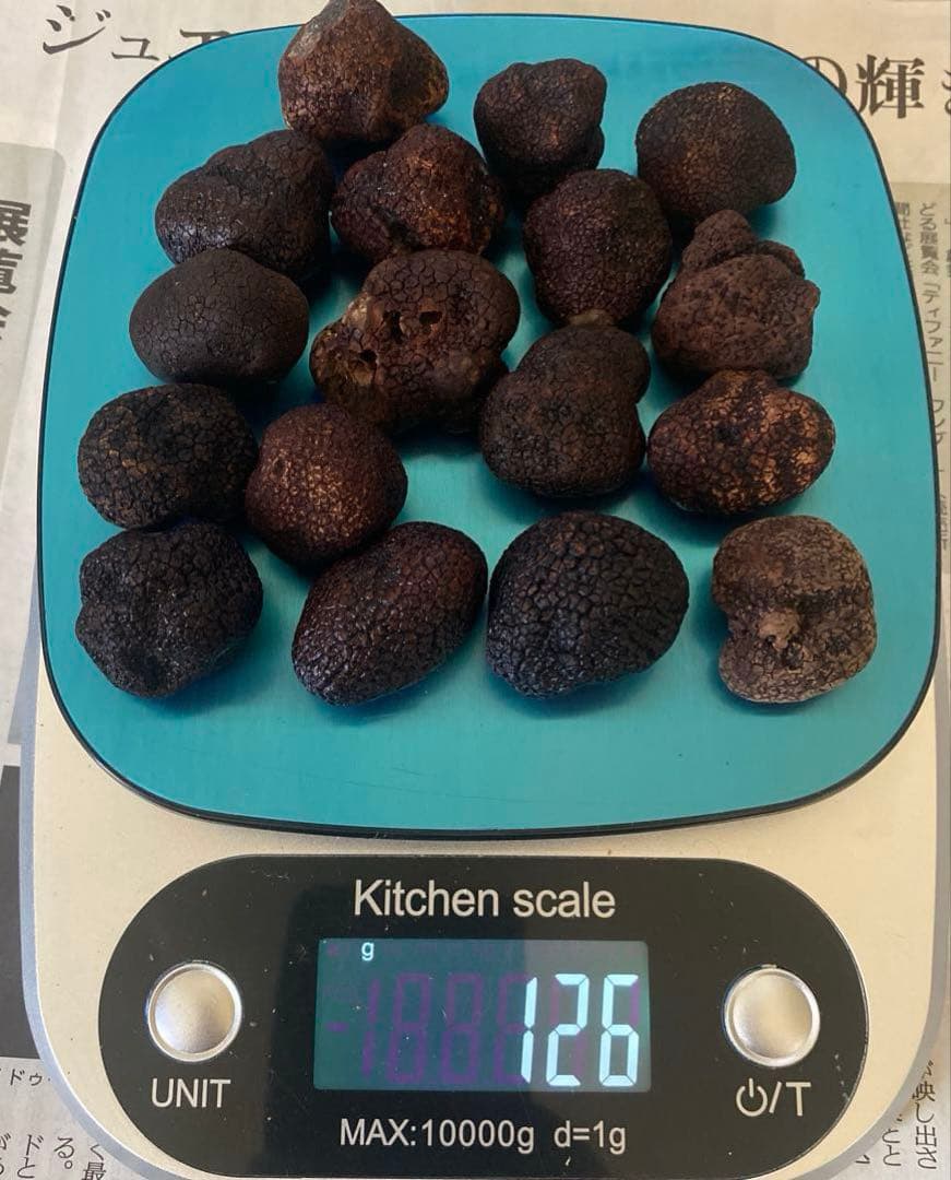 国産　山梨県産　天然黒トリュフ特大　 約126g