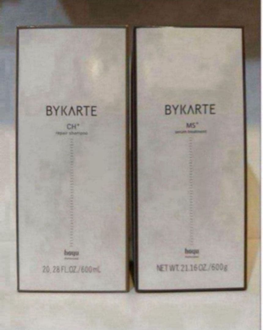 バイカルテCH MS 600