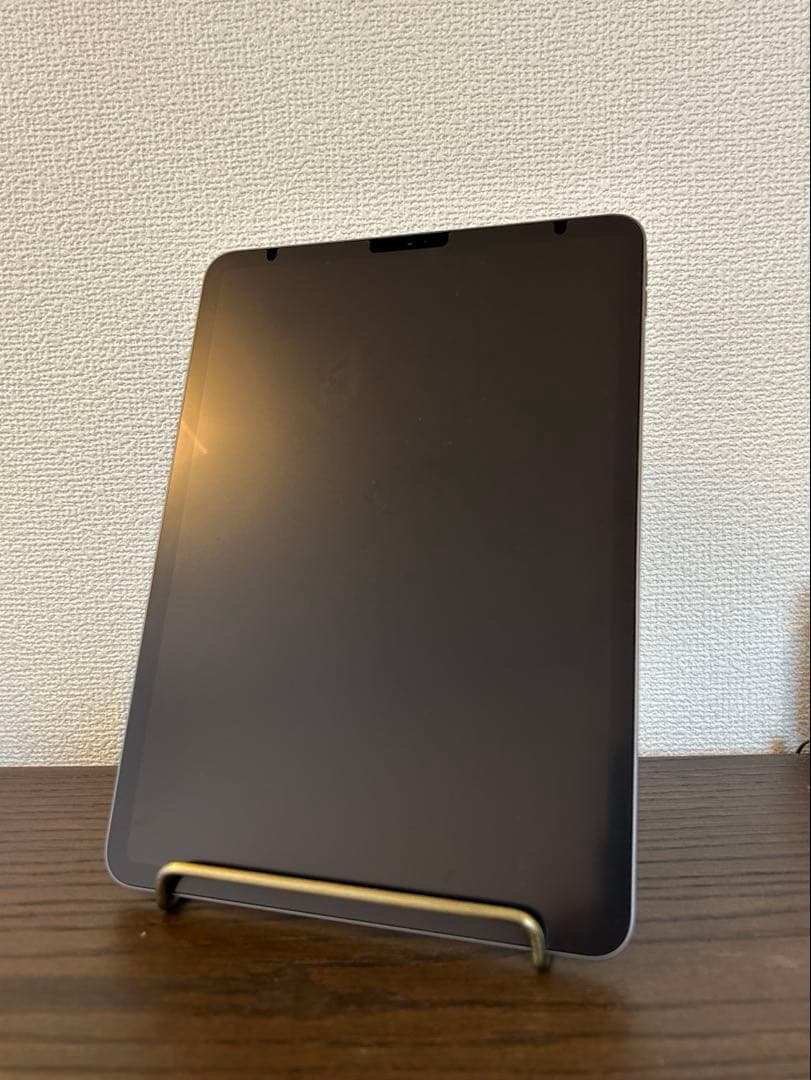 Apple iPad Pro 第1世代 256GB 11インチ Wi-Fiモデル