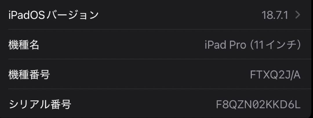 Apple iPad Pro 第1世代 256GB 11インチ Wi-Fiモデル