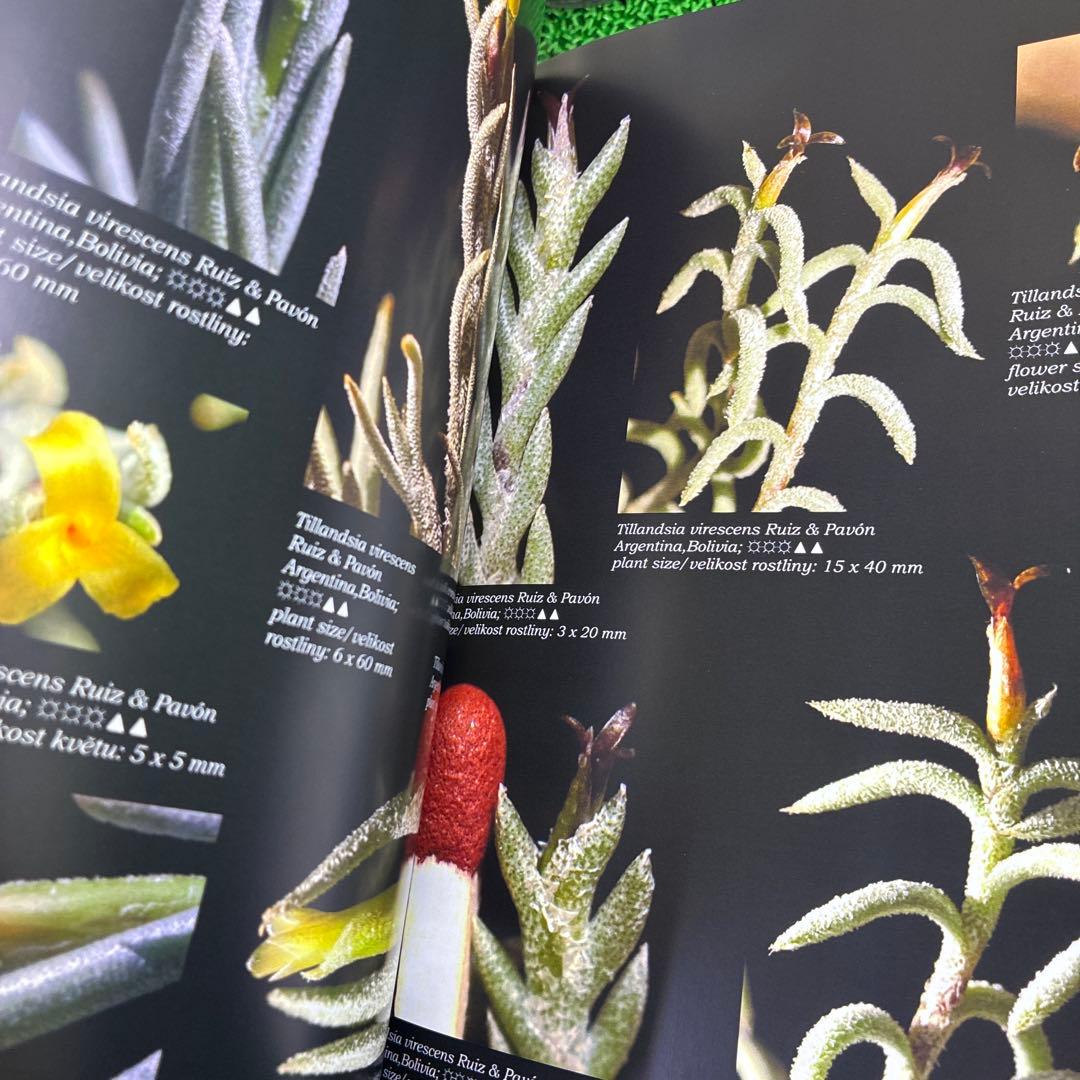 World o Tillandsia Jan Maruska著