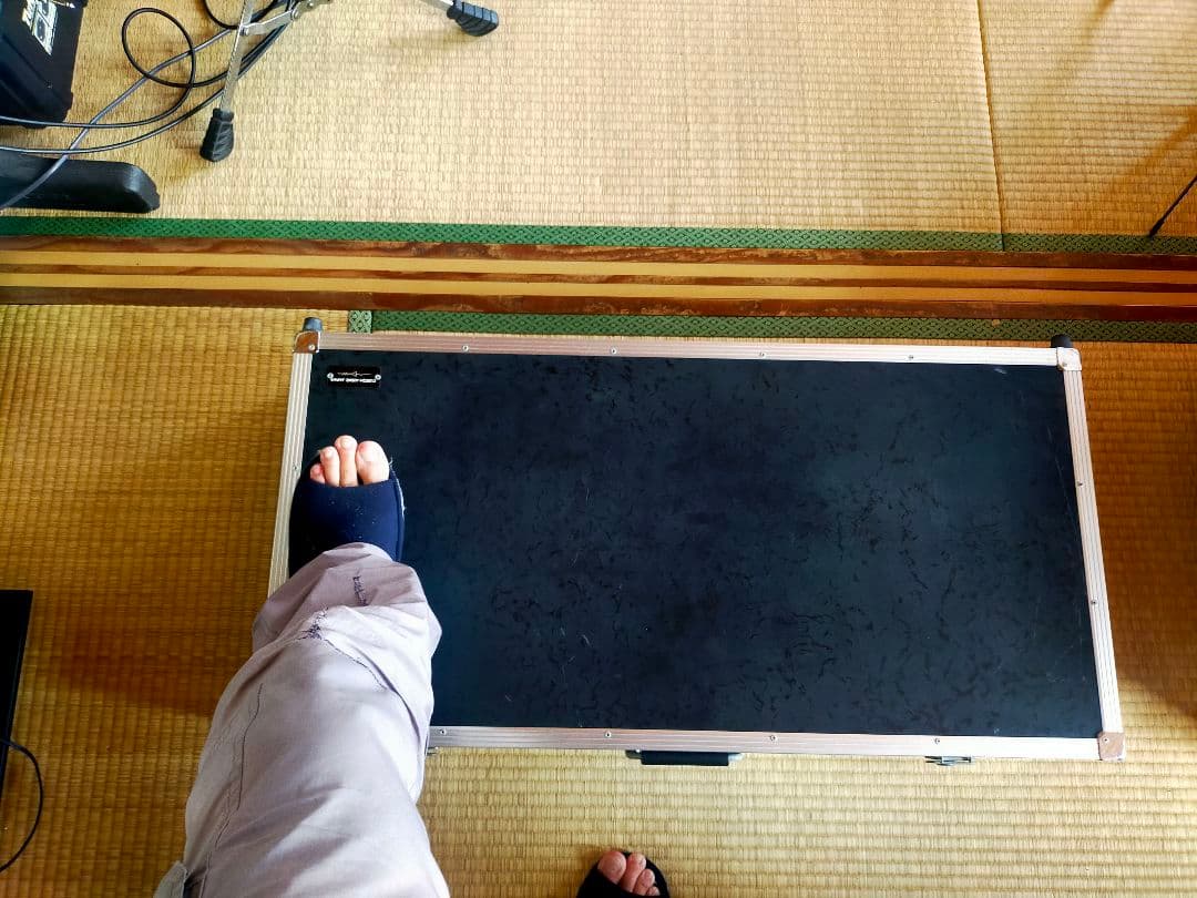 その他 Custom Audio Japan(CAJ System Board 4409