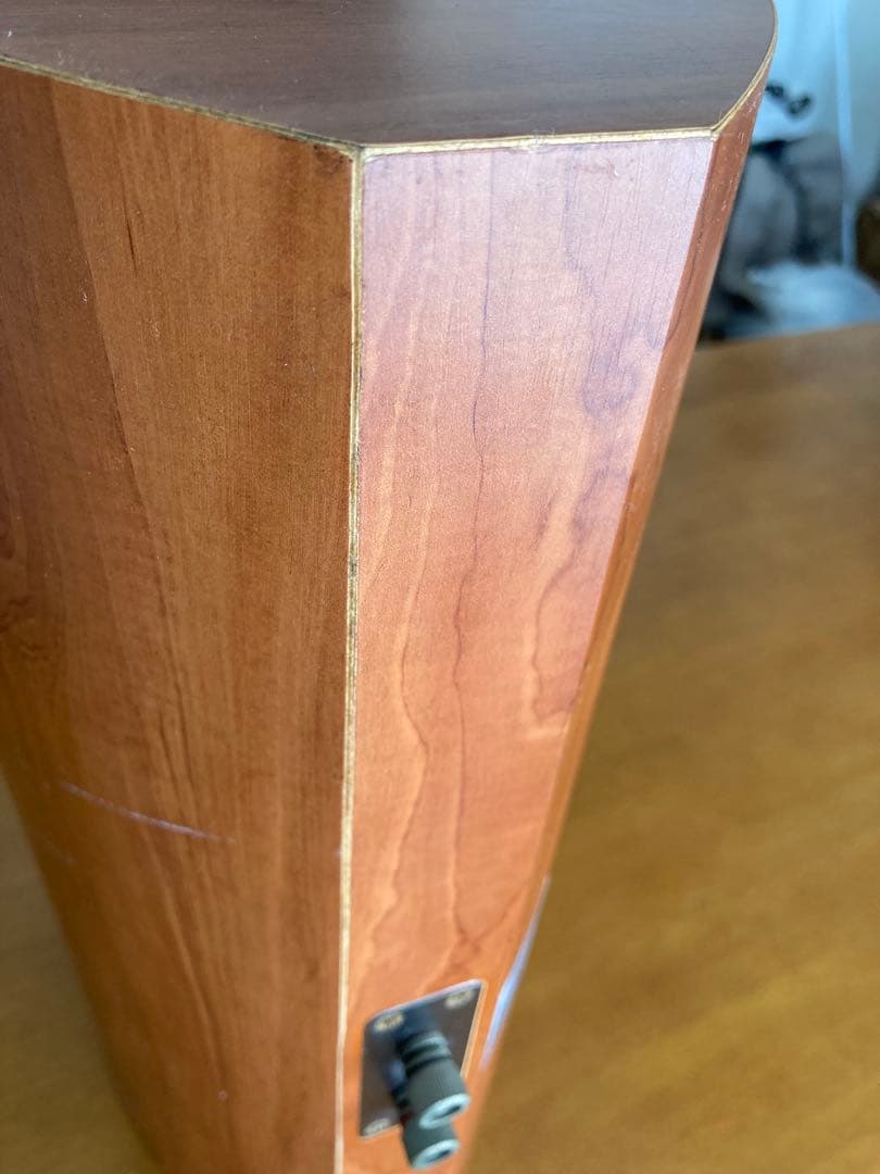 AVANTEK TWO audio pro センタースピーカー