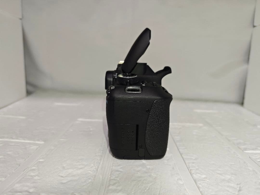 Canon EOS Kiss X5⭐️ダブルレンズ 初心者歓迎♥