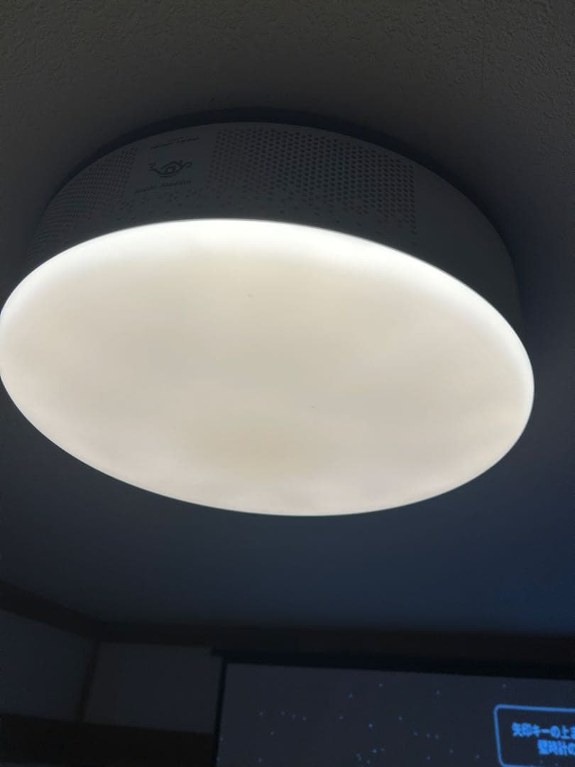 【ジャンク品】popInAladdin2 ドット抜け