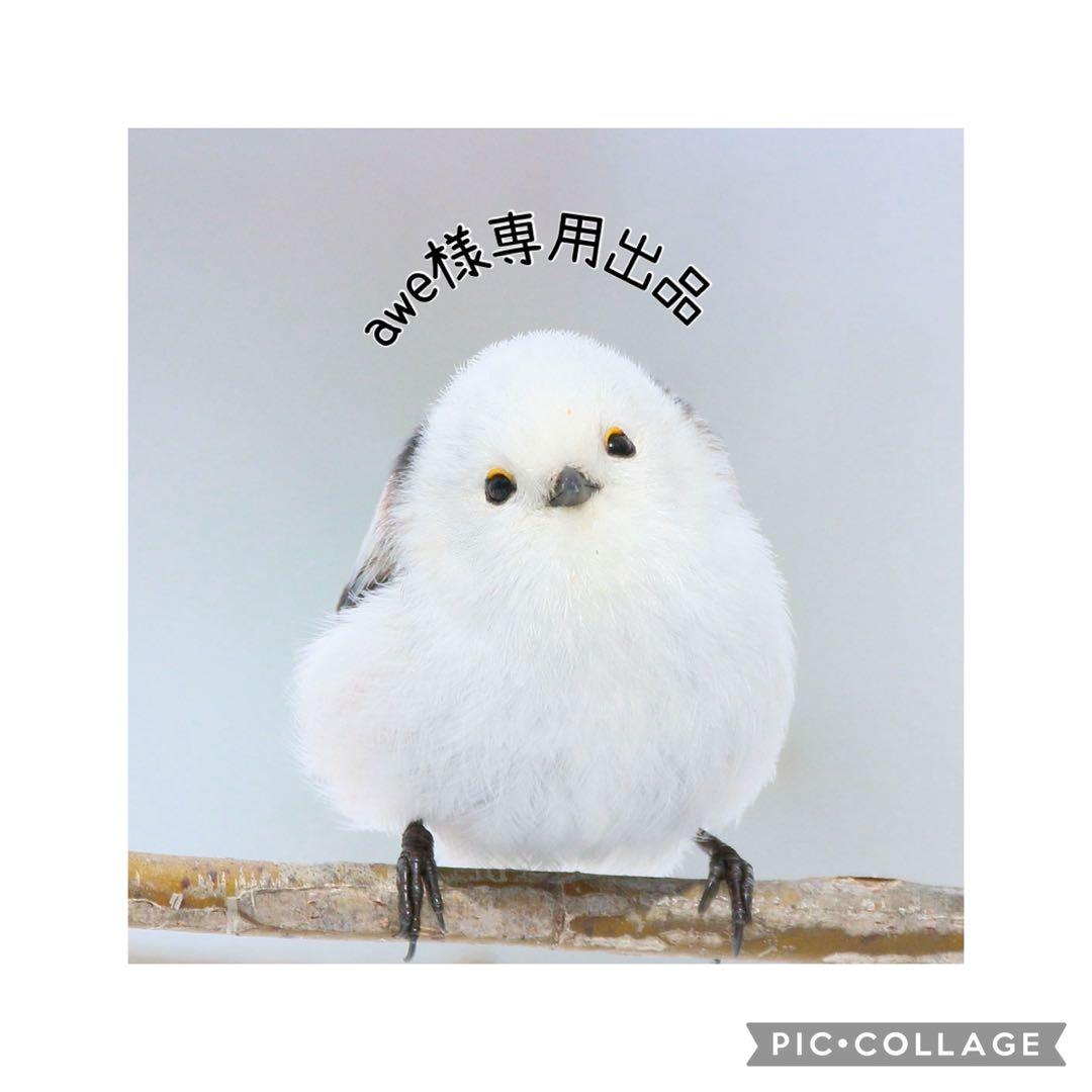 awe様 リクエスト 10点 まとめ商品