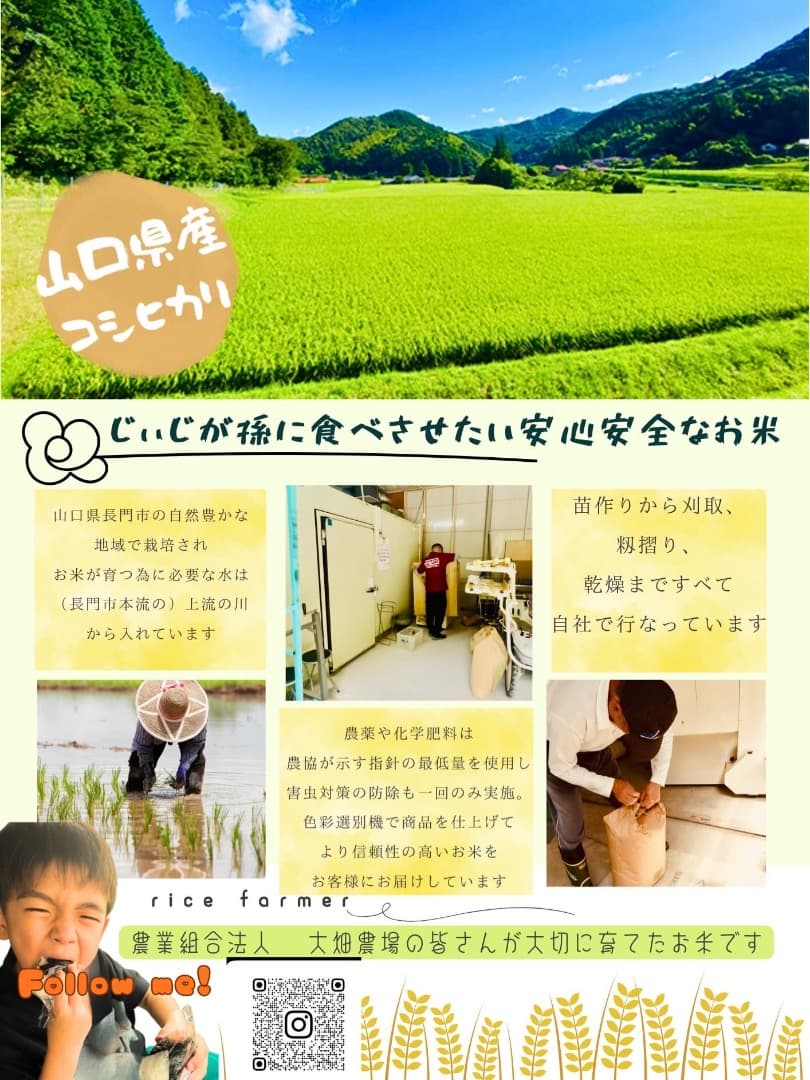 令和7年度山口県産 【コシヒカリ】 10kg
