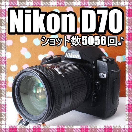 ✨お安くデビュー✨ショット数5056回✨Nikon D70 レンズセット