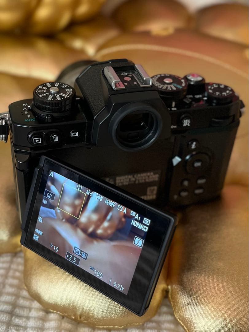 Nikon Zfc ブラック + レンズ3本 美品セット