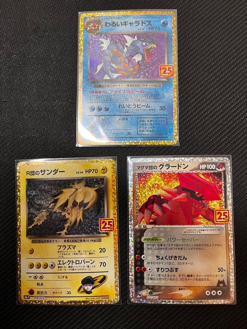 と*ん様 ギャラドス　サンダー　グラードン　25th
