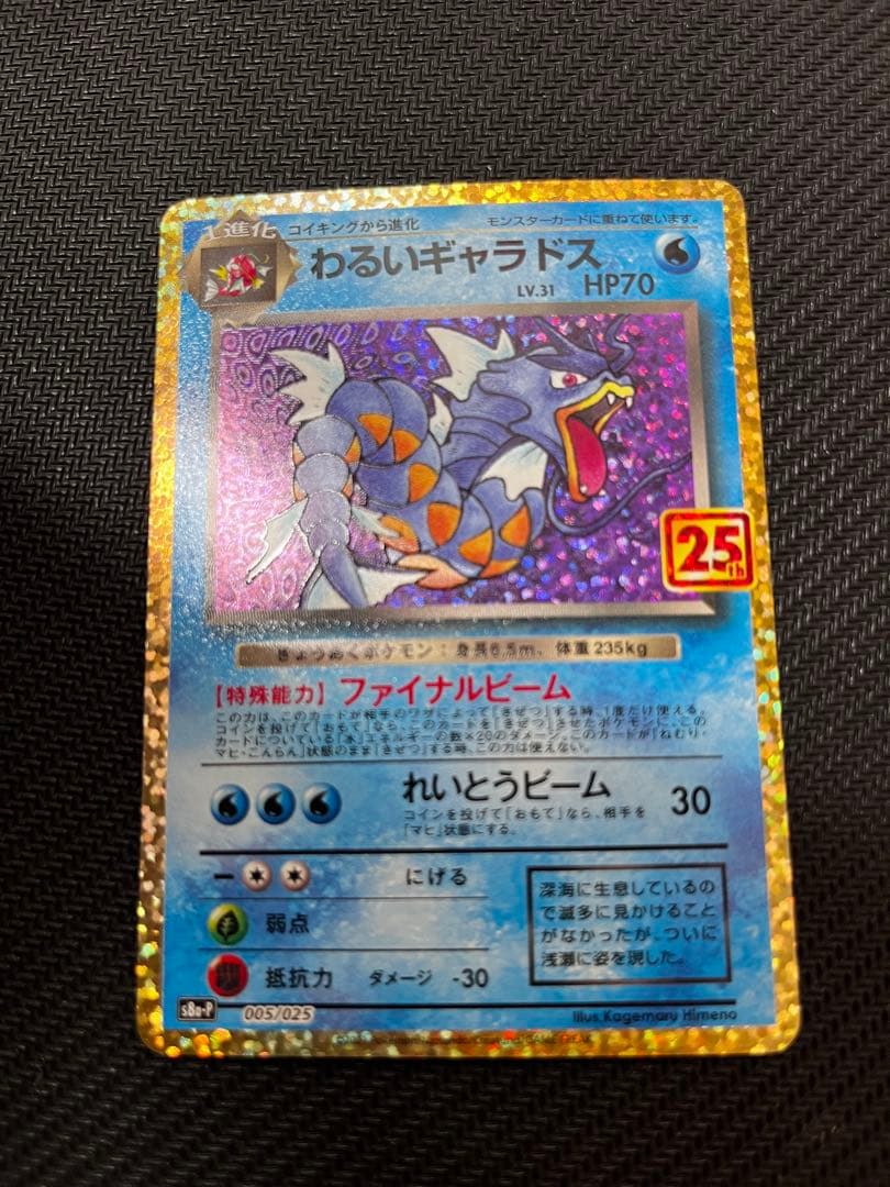 と*ん様 ギャラドス　サンダー　グラードン　25th