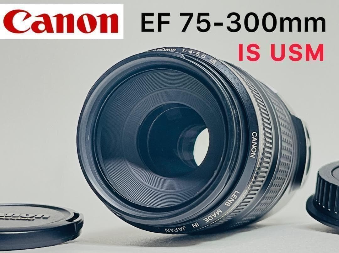美品✨キャノン Canon EF 75-300mm F4-5.6 IS USM