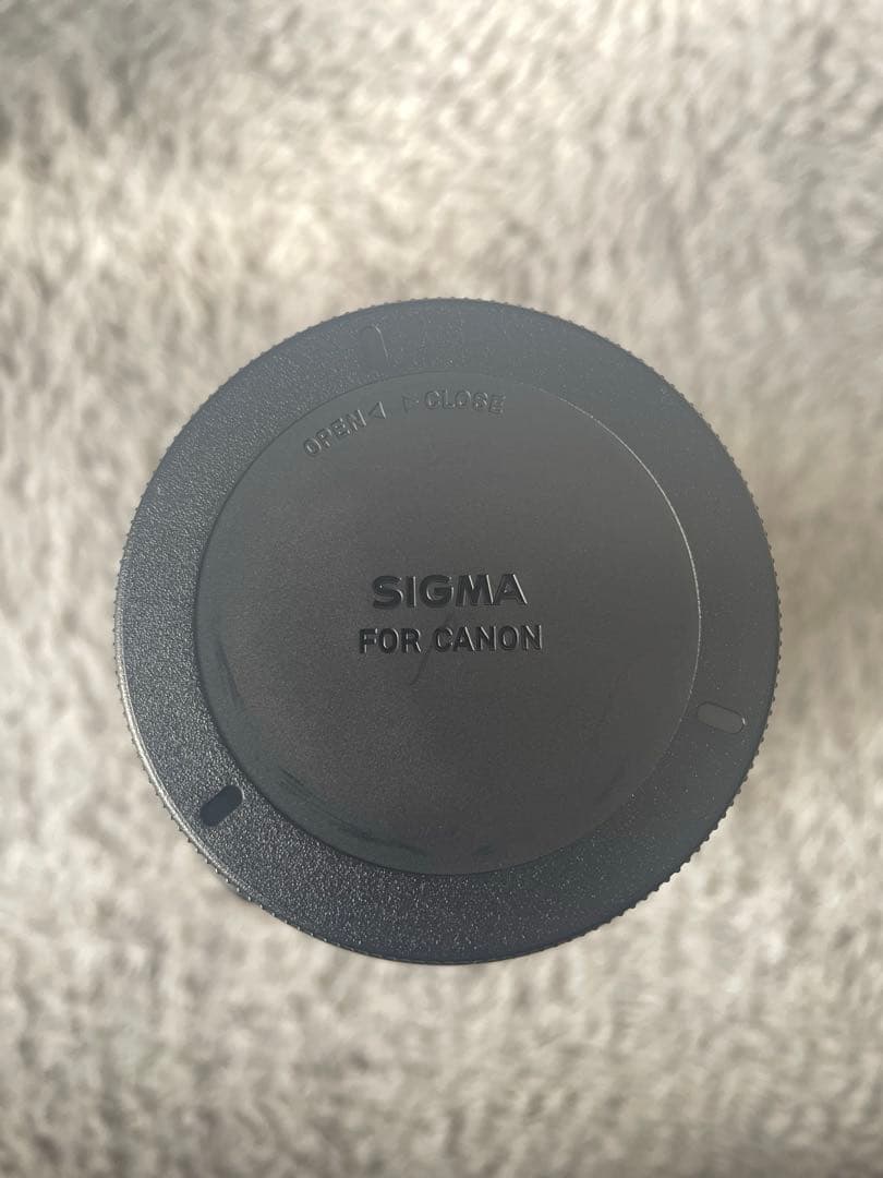 SIGMA 100-400mm F5-6.3 DG キヤノンEFマウント